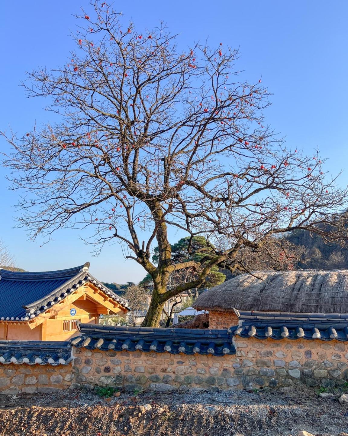 Jukheon Traditional House Andong Exteriör bild